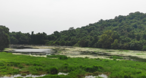 Pilerne Lake