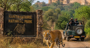 Ranthambore