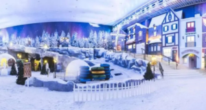 Snow Park