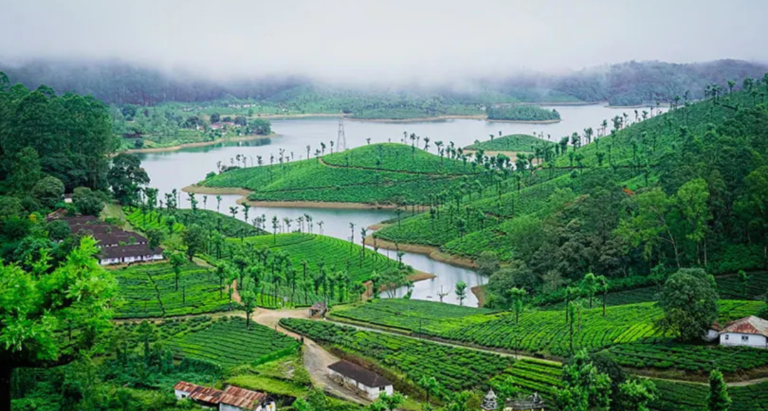 Places to Visit in Tamil Nadu: Hill Stations, Beaches & Heritage Sites