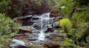 Yercaud waterfalls