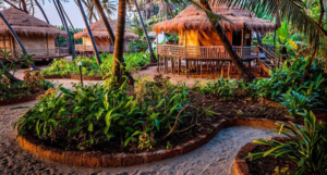 Yoga & Wellness Retreats