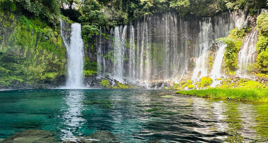 Best Waterfalls in Kerala: Nature’s Most Beautiful Escapes