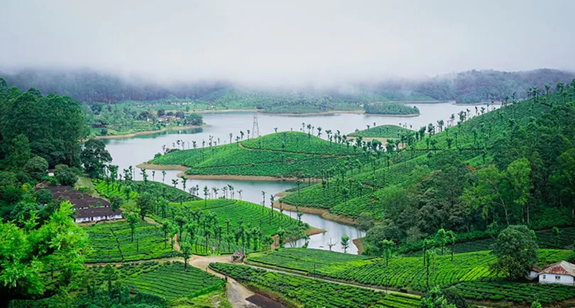 Things to Do in Tamil Nadu: Temples, Hill Stations & Cultural Experiences