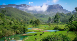 Anamudi Peak