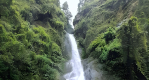 Chadwick Falls