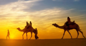 Desert Safari in Jaisalmer