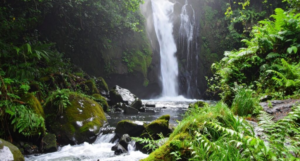Dharamkot Waterfalls
