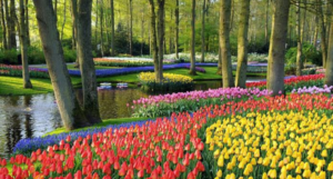 Dharamshala in Spring