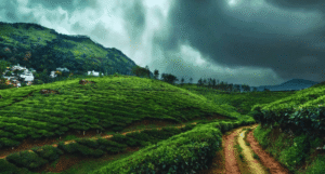 Dharamshala monsoon