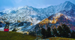Kangra view