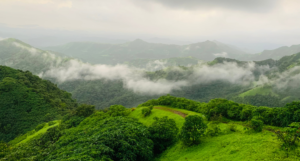 Maharashtra in Winter