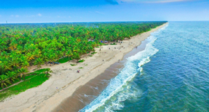 Marari Beach