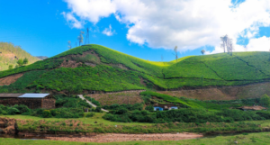 Munnar Tea Museum