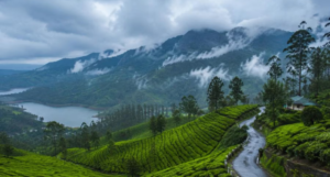 Munnar in Monsoon