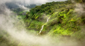 Nashik in Winter