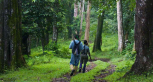 Nature Walk thekkady