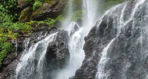 Paniyeli Poru