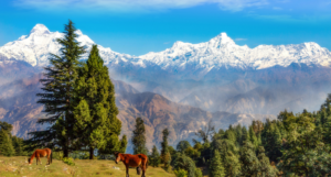 Places to Visit in Uttarakhand