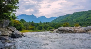 Tamil Nadu During Monsoon