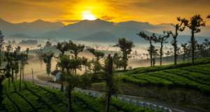 Tamil Nadu in Summer