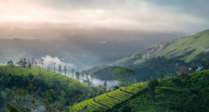 Tamil Nadu in Winter