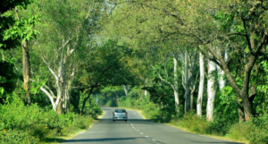 Uttarakhand by Road