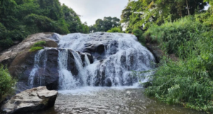 Law's Falls